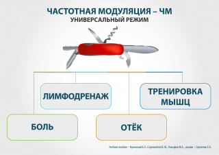 СКЭНАР-1-НТ (исполнение 01)  в Подольске купить Скэнар официальный сайт - denasvertebra.ru 