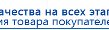 Электрод Скэнар - лицевой двойной Пешки купить в Подольске, Электроды Скэнар купить в Подольске, Скэнар официальный сайт - denasvertebra.ru