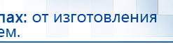 Электрод Скэнар - лицевой двойной Пешки купить в Подольске, Электроды Скэнар купить в Подольске, Скэнар официальный сайт - denasvertebra.ru